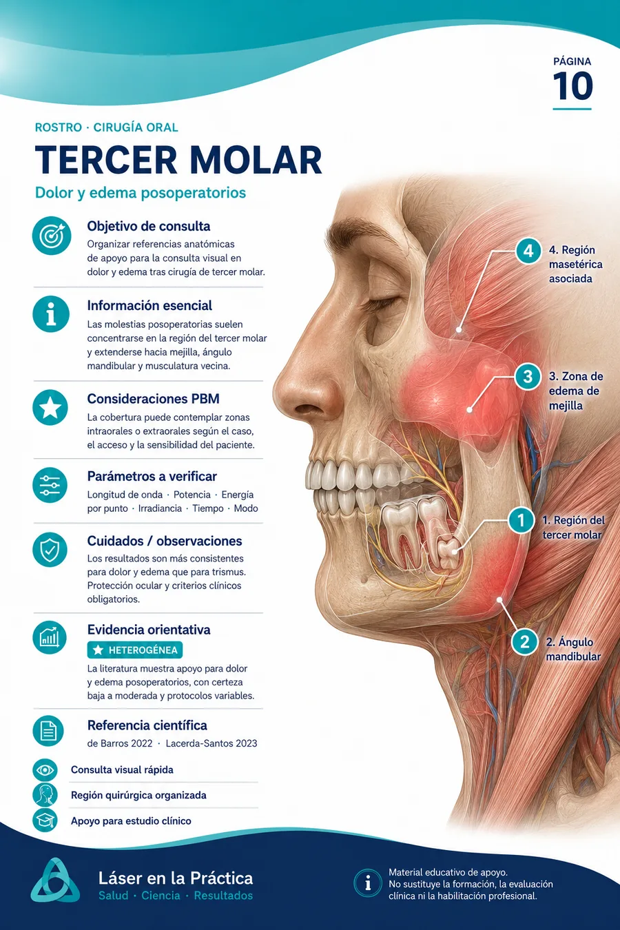 Ejemplo de mapa visual de laserterapia