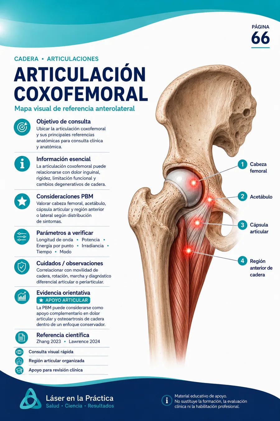 Ejemplo de mapa visual de laserterapia