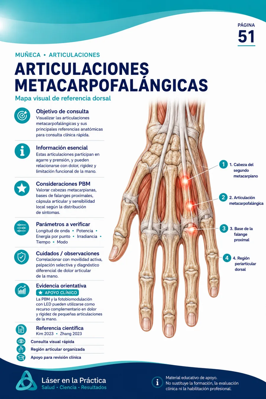 Ejemplo de mapa visual de laserterapia