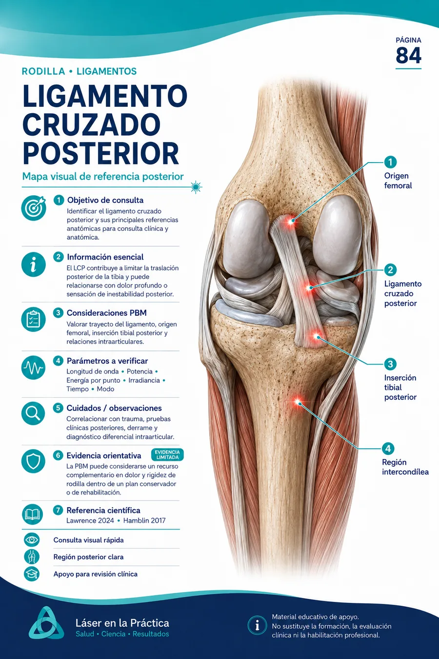 Ejemplo de mapa visual de laserterapia